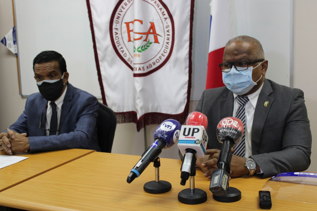 UP REITERA CREDIBILIDAD EN EL HALLAZGO DEL GORGOJO DE&nbsp;COPRA