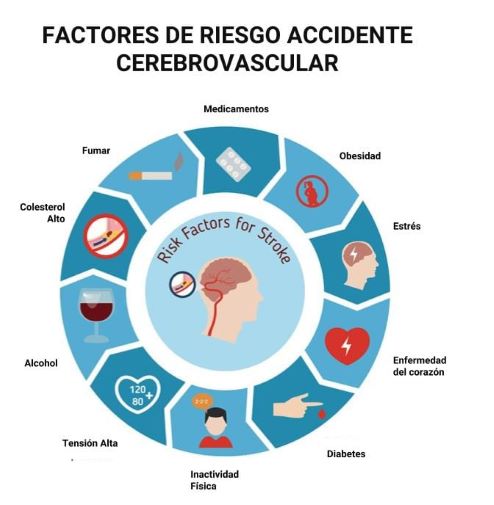 LA MALA ALIMENTACIÓN Y EL SEDENTARISMO ELEVAN LOS RIESGOS A PADECER DE ENFERMEDADES CARDIOVASCULARES