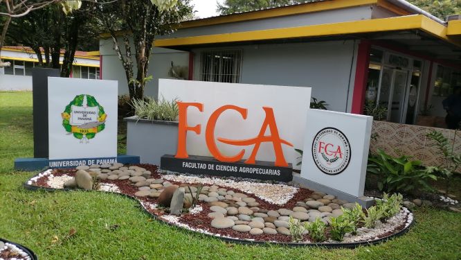 La Facultad de Ciencias Agropecuarias de la Universidad de Panamá ha formado el 76% de ingenieros agrónomos del&nbsp;país.