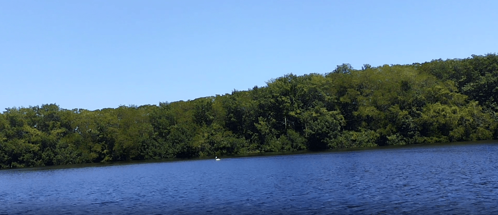 Estudiantes del CRU de Bocas del Toro investigan avifauna acuática y semi&nbsp;acuática