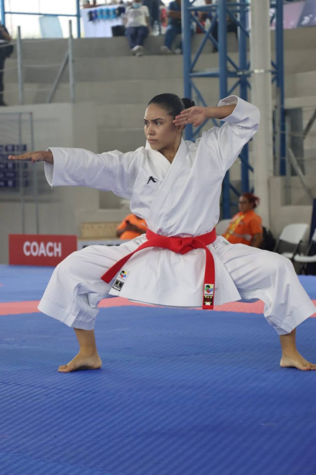 Karate obtiene Medalla de Plata y&nbsp;Bronce