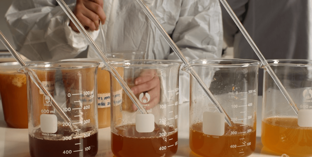 Propuesta de investigación del IEA es beneficiada por la&nbsp;SENACYT