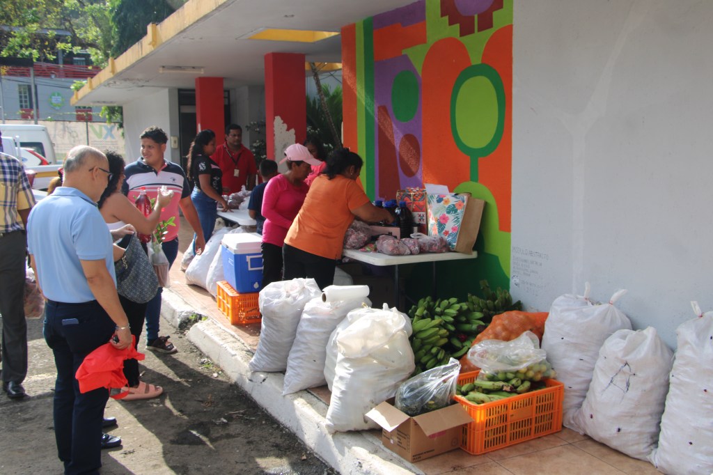 Tradicional saril, a buen precio en la FCA 