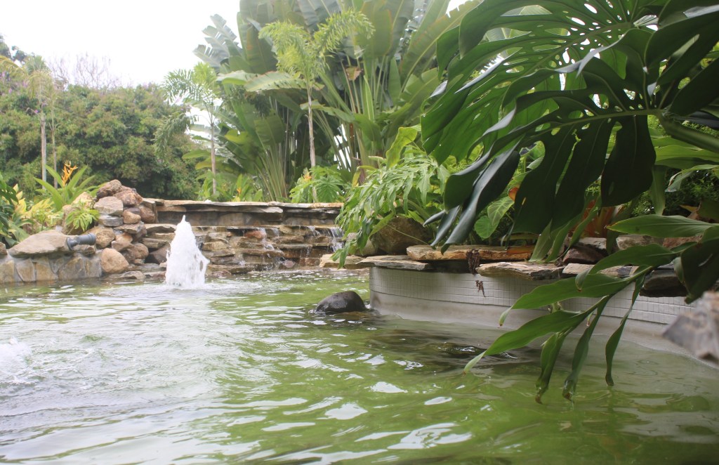 El tema del agua es un asunto de vida, pero también de&nbsp;justeza