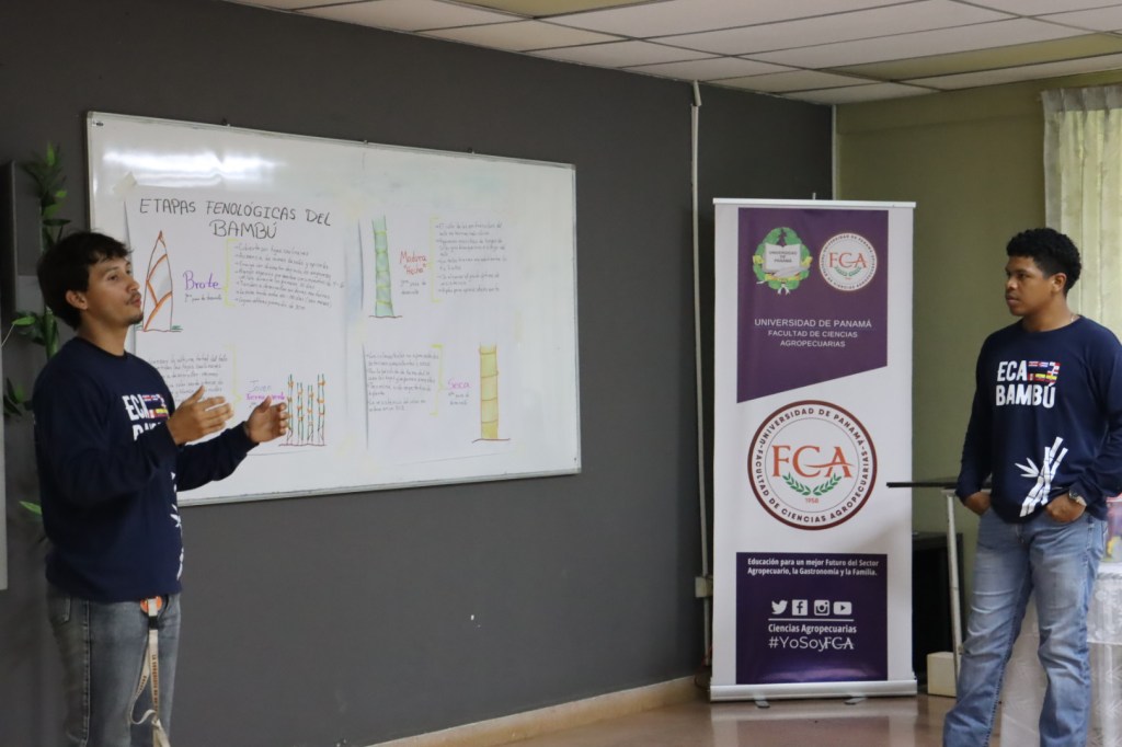 Estudiantes promueven el cultivo de bambú como alternativa sostenible desde la Facultad de Ciencias&nbsp;Agropecuarias