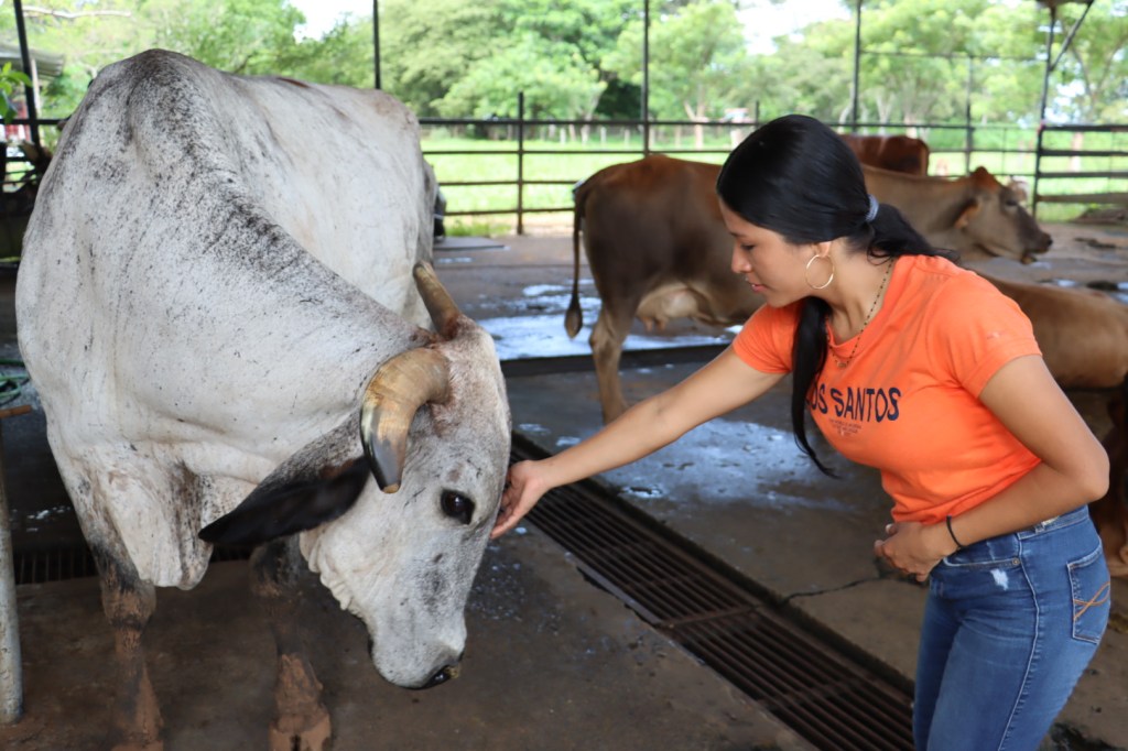 “Aquí se aprende haciendo”: estudiante de Ingeniería Zootecnista vive la producción lechera desde la&nbsp;práctica
