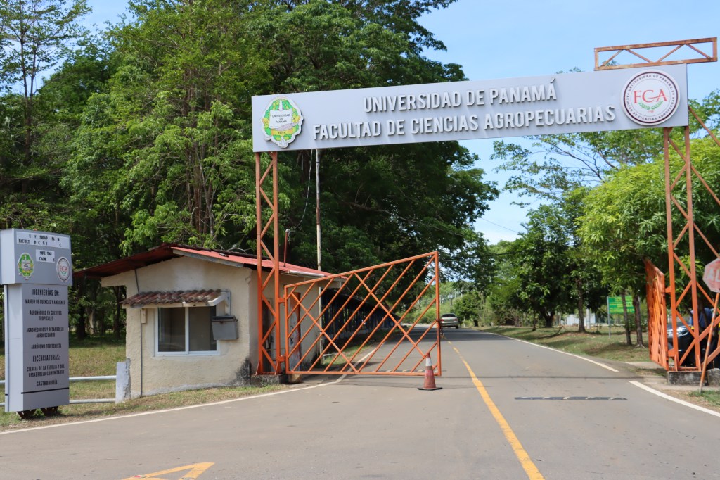 Decano de la Facultad de Ciencias Agropecuarias exige implementación de la Ley PADE: “No se le ha dado la oportunidad que&nbsp;merece”