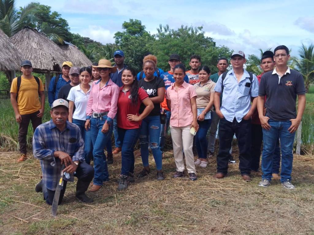 Estudiantes de Agroforestería refuerzan su formación práctica en parcelas experimentales de&nbsp;Darién