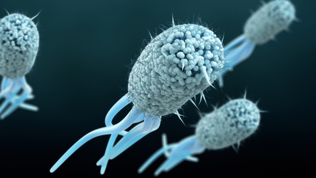 Bacterias y hongos: amenazas silenciosas del agua y aire en ciudad de&nbsp;Panamá