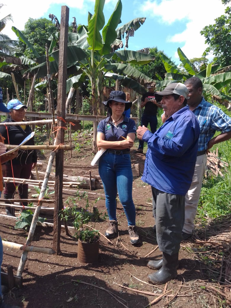 Huertos Orgánicos Transforman Comunidades en Darién: con Apoyo Universitario y ONG una Alianza por la Agricultura&nbsp;Sostenible