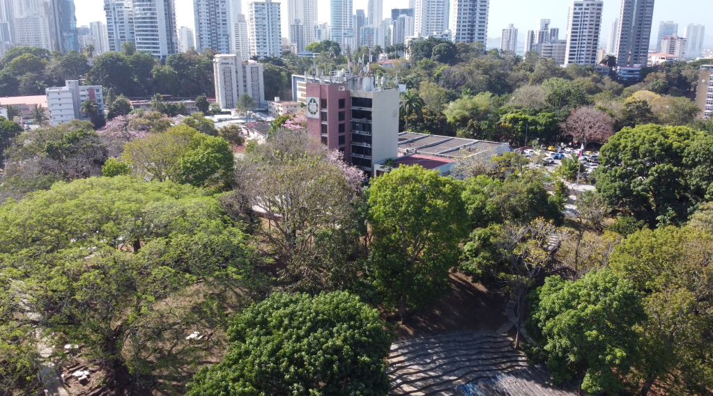 Universidad de Panamá escala posiciones en el QS Ranking Latinoamericano&nbsp;2026