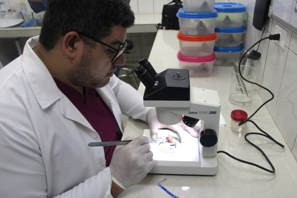 CIIMET: 20 años de ciencia para salvar vidas en&nbsp;Panamá