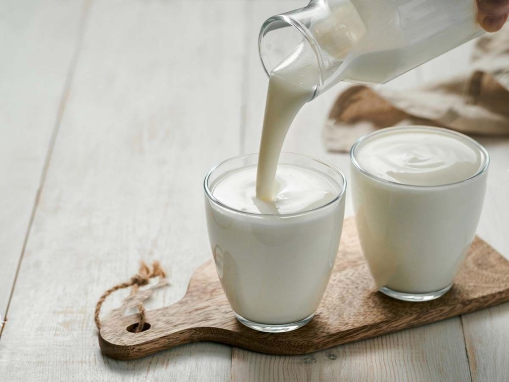 Leche y yogurt: aliados respaldados por la ciencia para la concentración y el&nbsp;aprendizaje