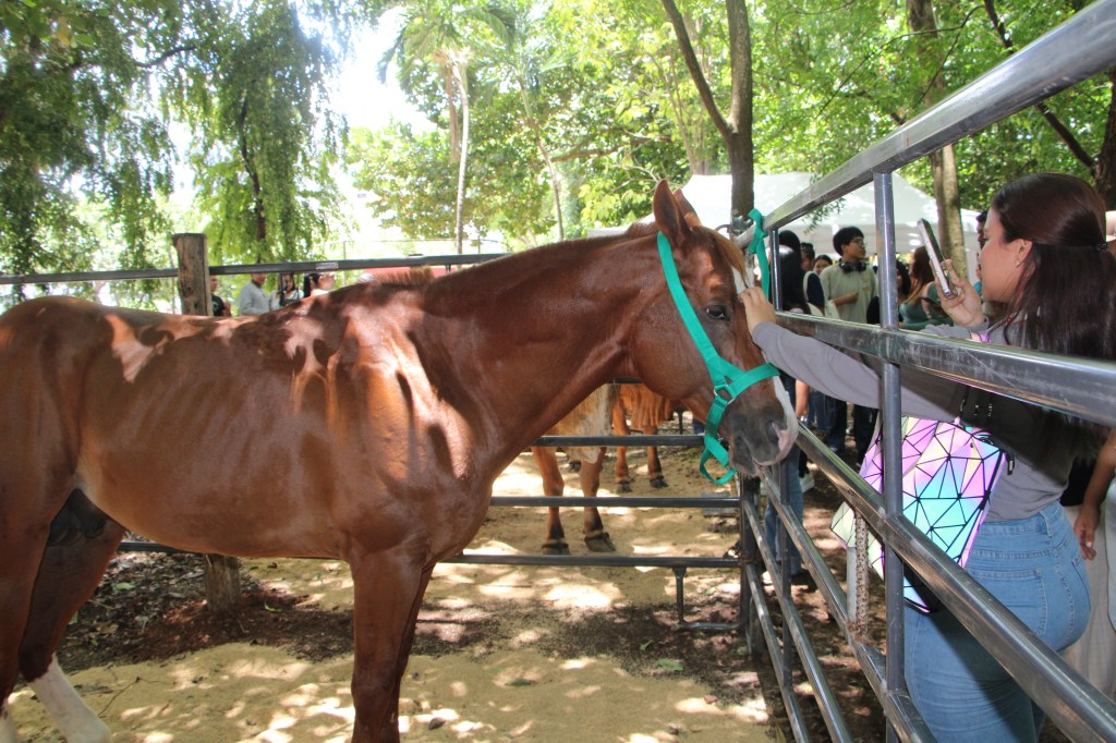 PROMEGA fortalece la ganadería nacional con su III Feria Universitaria en la Universidad de&nbsp;Panamá