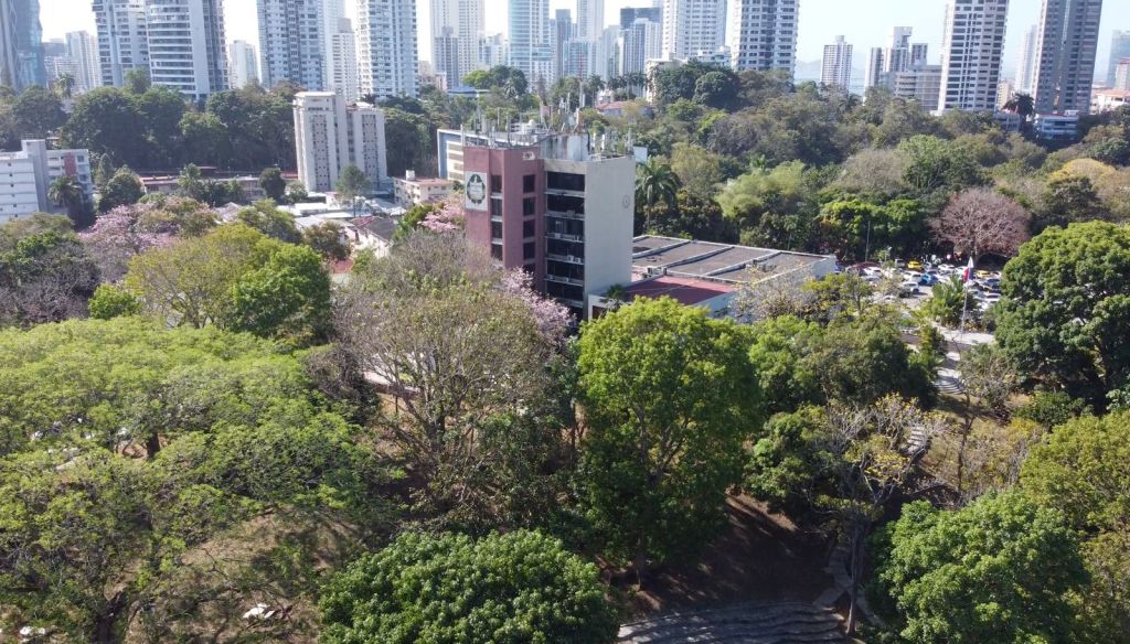 Organismo Electoral de la Universidad de Panamá afina proceso para elecciones del 1 de&nbsp;julio