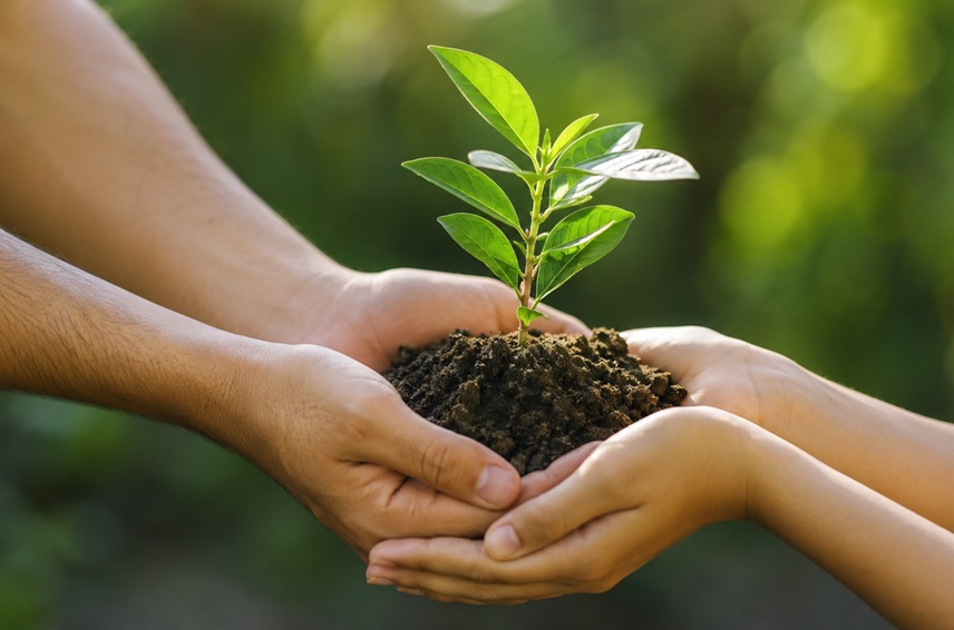 Investigadora de la Universidad de Panamá valida instrumento para medir la conciencia ambiental en el contexto&nbsp;panameño