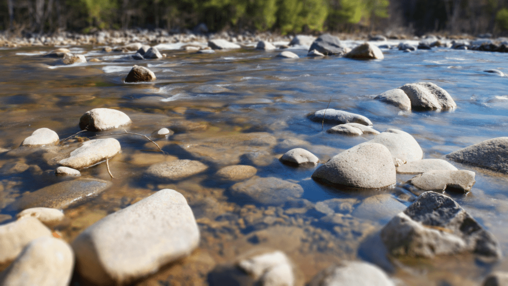 Estudio evalúa la calidad del agua de los principales ríos que desembocan en el golfo de&nbsp;Montijo