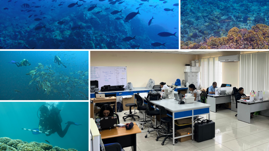 CCIMBIO: ciencia que protege los mares y los recursos naturales de&nbsp;Panamá