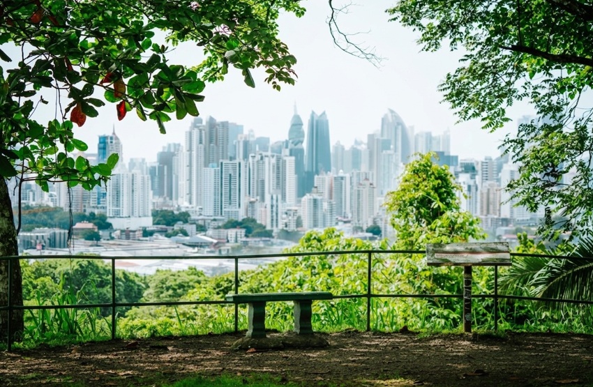 Investigadores de la Universidad de Panamá demuestran el rol crucial de las áreas verdes urbanas para la supervivencia de anfibios y reptiles en la&nbsp;capital